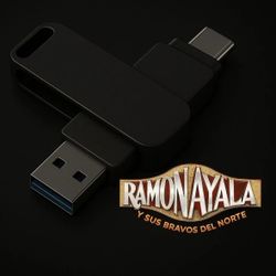USB The Collection Of Ramon Ayala 