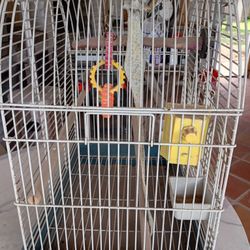 Bird Cage 