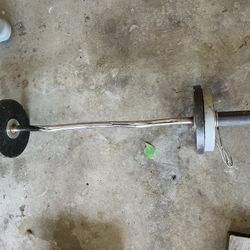 Olympic Size Curl Bar 