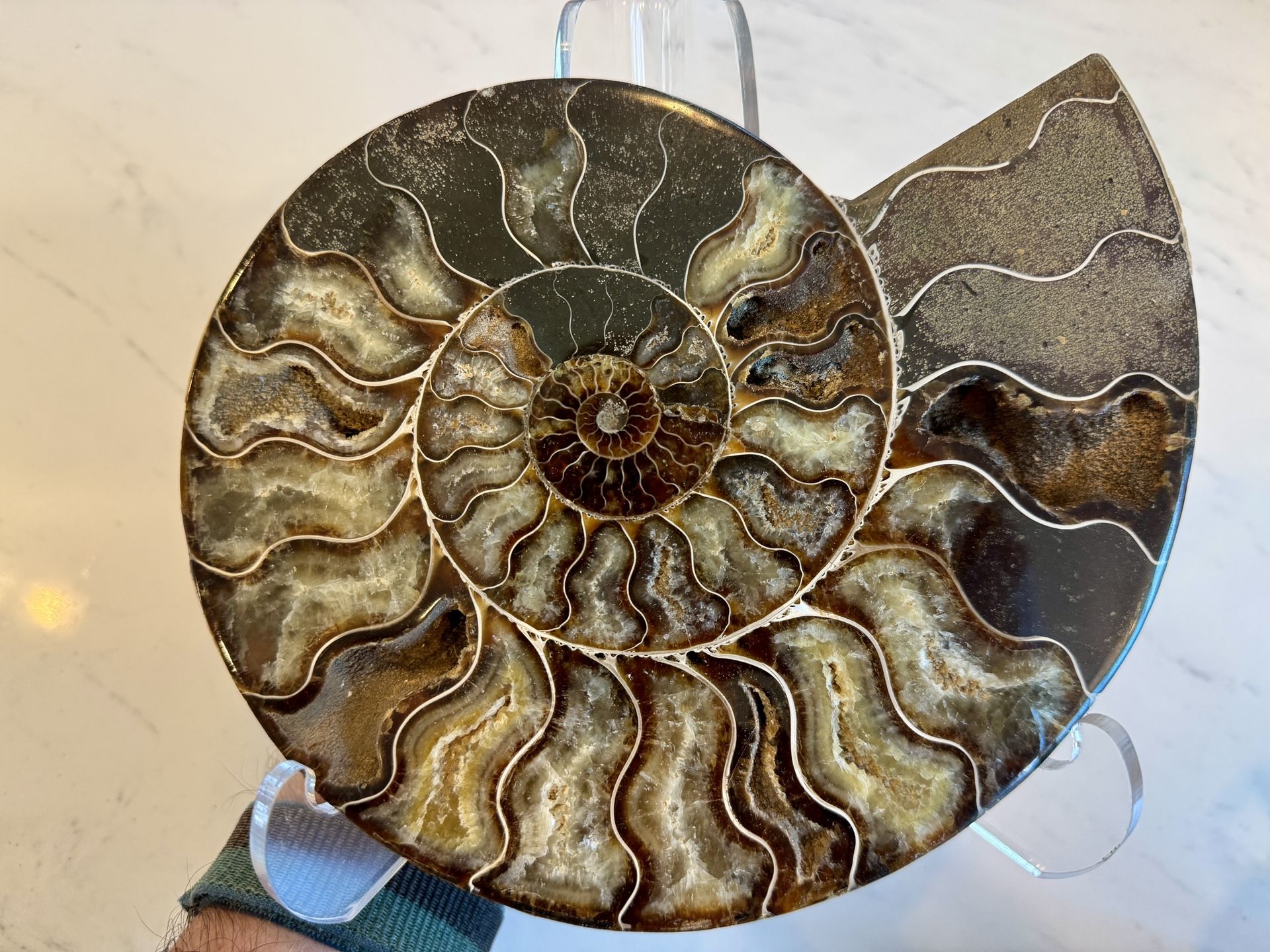 8” Split Half Ammonite Pair - Madagascar Polished w Crystals