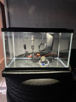 Fish tank