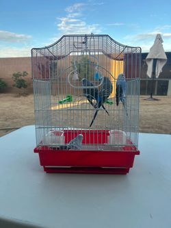 Cage