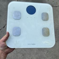 Weight gurus Smart Weight