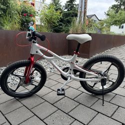 Kids 18 Inch Bike