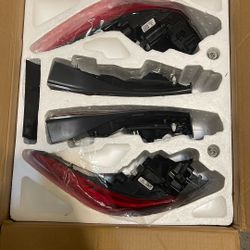 Honda Civic 2024 Rear OEM 