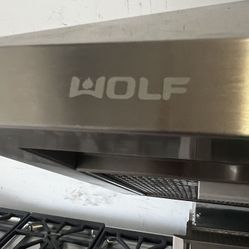 36’ INCHES WOLF HOOD 