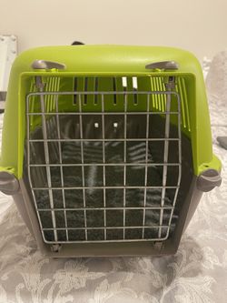 Cage Dog