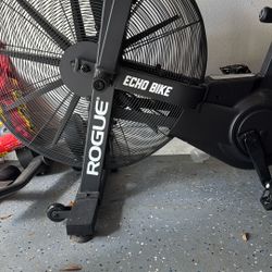 ROGUE ECHO BIKE - Barely Used FOR SALE METROWEST ! 
