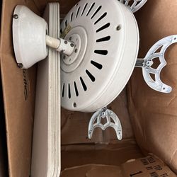 Ceiling Fan