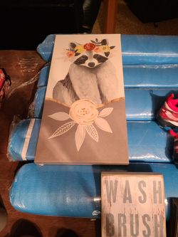 Racoon Picture