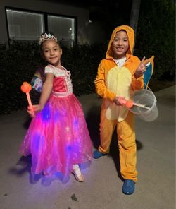 Princess pink costume