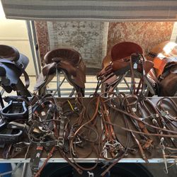 Horse Saddles And Tack