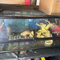 Terrarium With Decor/Lamps And Food/Water Bowls