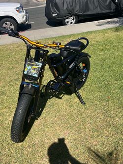 Fat Tire Electric Bike