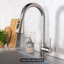 High Arc Single Handle Kitchen Faucet with Pull Down Sprayer