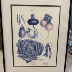 1870  Vintage Lithograph  Print