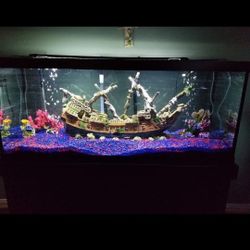 🔥 🔥 🔥 70 Gallon Aquarium with Stand and Lots of Accessories! 🔥 🔥 🔥 