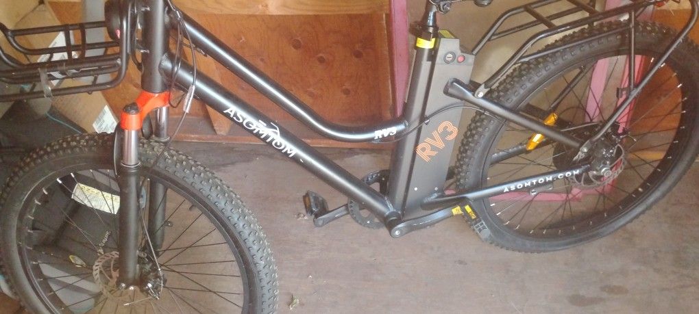E bike