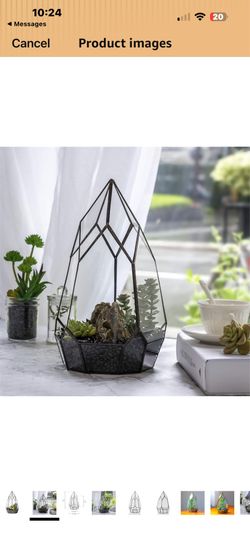 Planter / terrarium