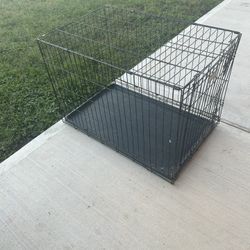Dog Kennel