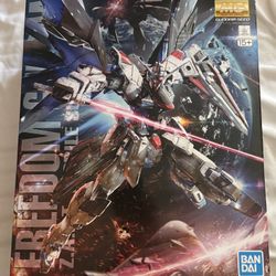 MG Freedom Gundam 