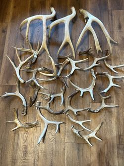 Antlers