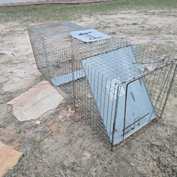 Animal Trap