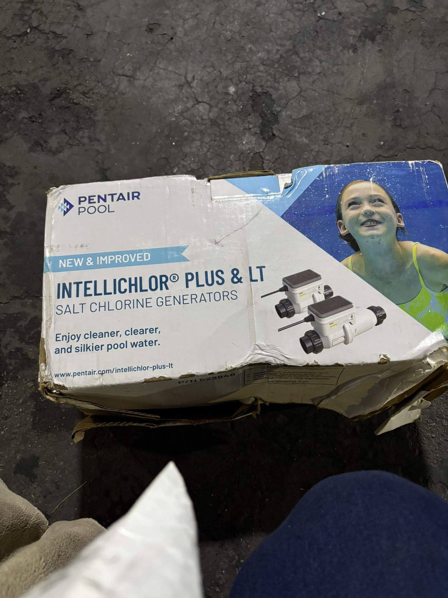 PENTAIR INTELLICHLOR PLUS AND LT GENERATOR (POOL PUMP) $900/OBO