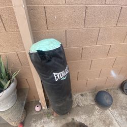 Punching Bag 