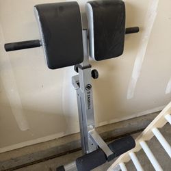 Back Extension Bench
