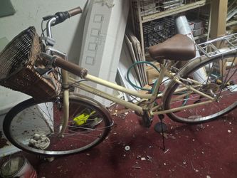 A woman's cruising bike