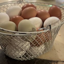Huevos Frescos,fresh Eggs