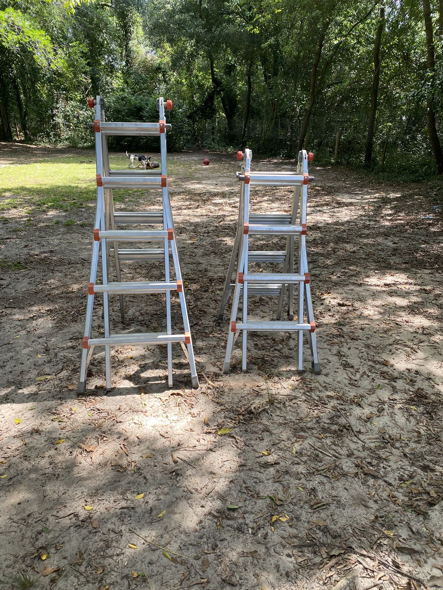 Ladders