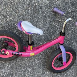 Giant Pre Push Run Bike- Toddler