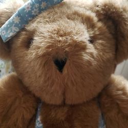 Vermont Teddy Bear Like New!