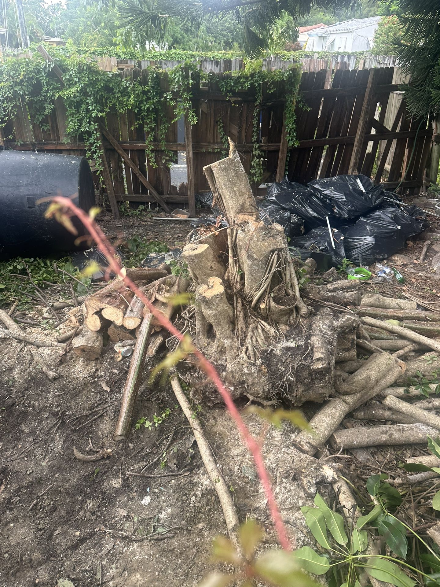 Free Wood 