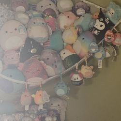 Squishmallows LOT