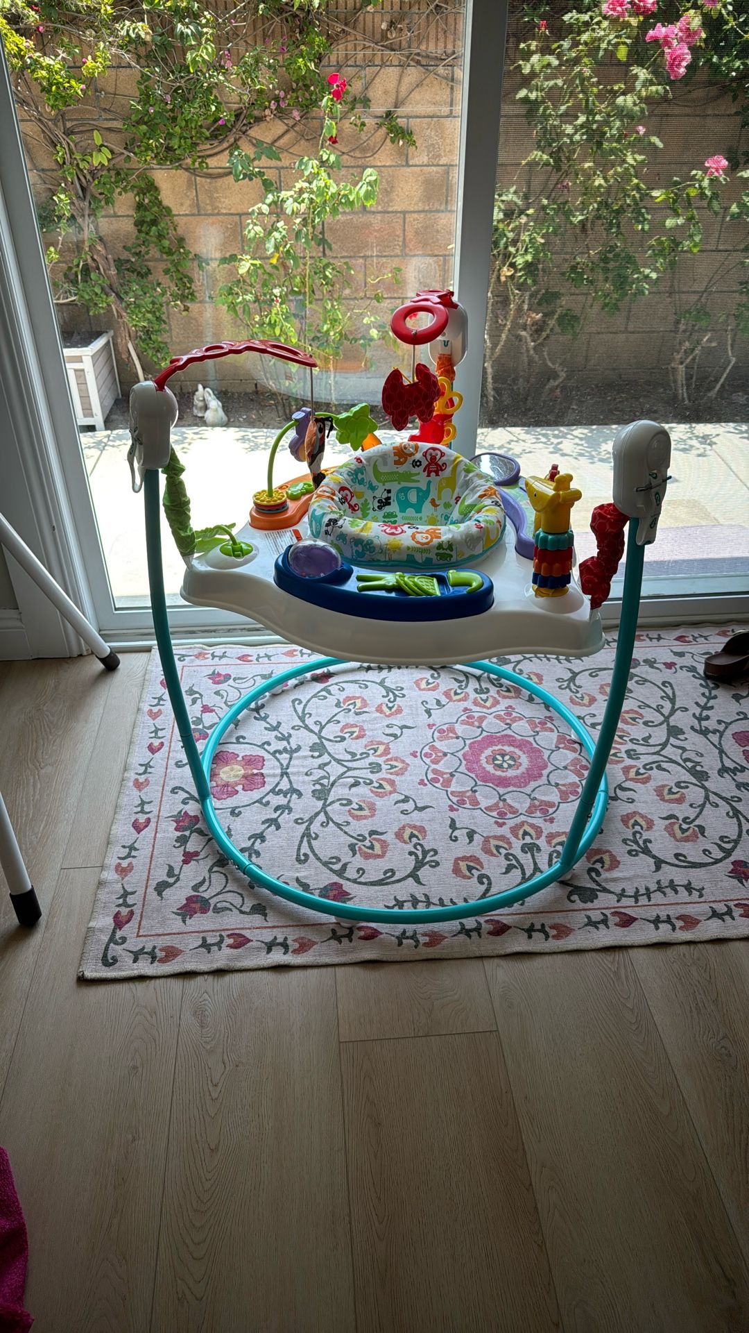 Baby Jumperoo