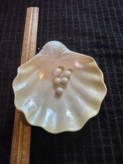 Vintage Shell Dish