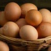 Eggs