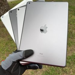 iPads 5 / 6 / 8 / Pro