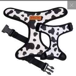 Xs Dog Harness