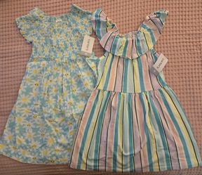 Toddler Girl Brand-new Dresses