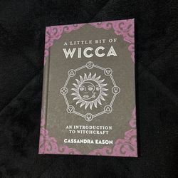 A Little Bit Of Wicca Book
