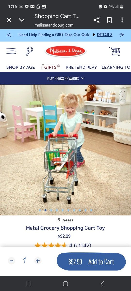 Toddler Shopping Cart
