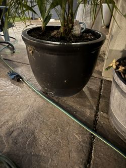 Clay Planter 20 Inches Diameter 20 Inches Tall