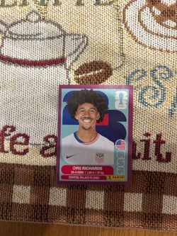 Chris Richards USA world cup purple sticker