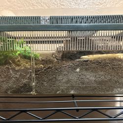 Many Types Of Tarantula Enclosures For Sale, HMU For More Info