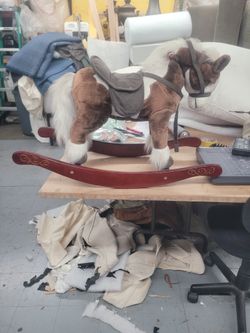 kid horse