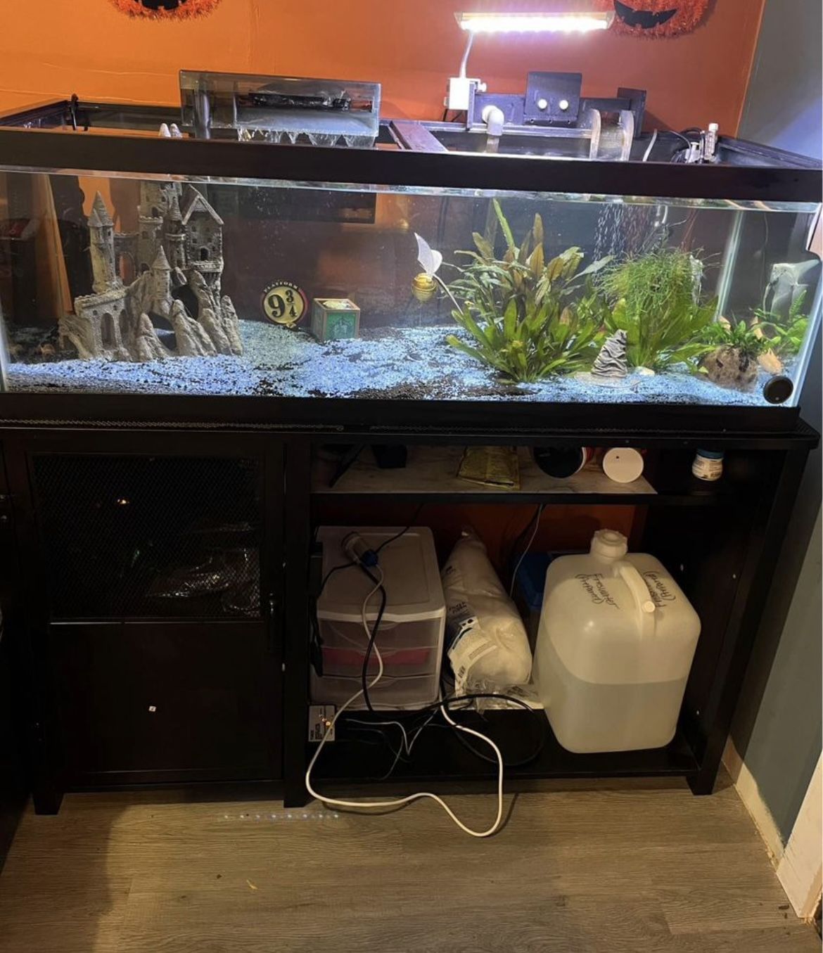60 Gallon Tank with Stand and New Filter